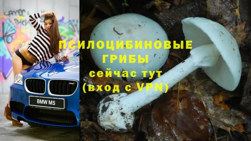 даркнет сайт  Алушта  Псилоцибиновые грибы Cubensis 